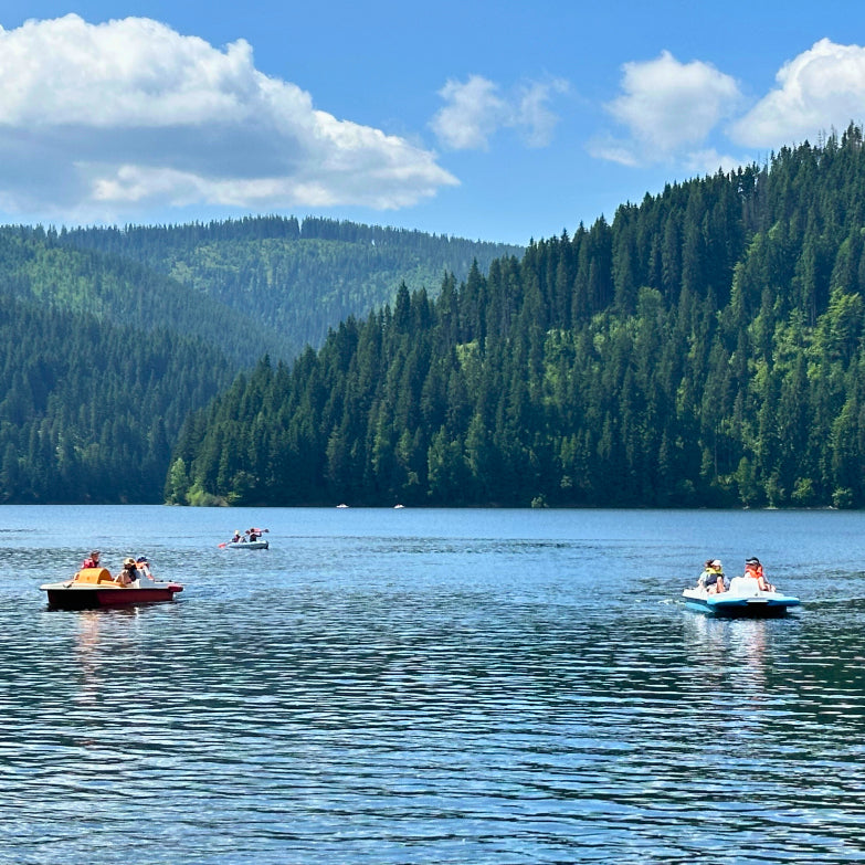 Închiriere Hidrobicicletă